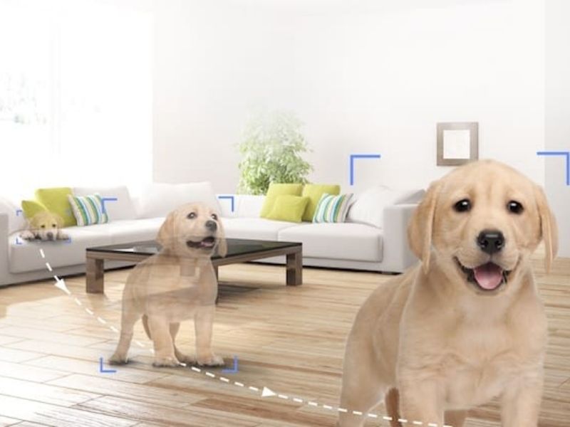 Ezviz TY2 phát hiện chuyển động thông minh